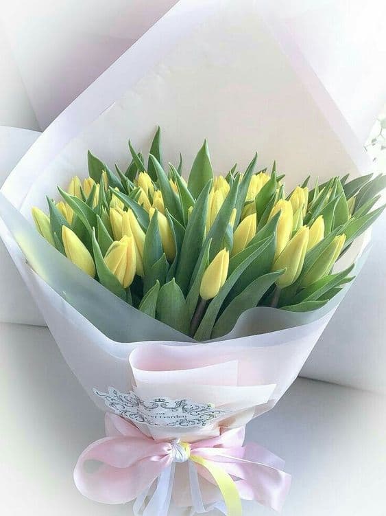 bó tulip tình yêu không cần đáp lại