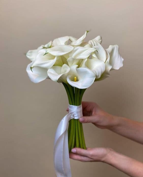 Hoa cưới hoa rum - thuần khiết